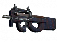 P90 Teardown